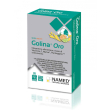 named golina oro agrumi 20 compresse - integratore alimentare