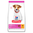 sp canine pup sm&m ckn 300g cs