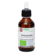 ippocastano gd bio 100ml ftm