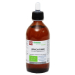 ippocastano maceratoglicerico 200ml bio