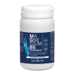 magnesium b6 60cpr ebv