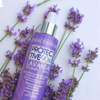officinalis protective spray alla lavanda - per la cura e protezione di cute e pelo cani e gatti 250