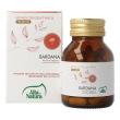 bardana 60cpr terranata