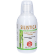 sangalli silistica soluzione orale 500 ml orale