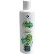 alkemilla eco bio cosmetic k-essence latte corpo - ginko biloba e bambù