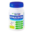 somatron 1000mg 120cpr