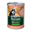 monge grain free ad salm/zuc
