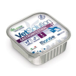 monge vetsol um can gastroint