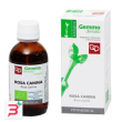 rosa canina macerato glicerico 50 ml bio