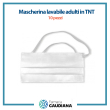 mascherina lavabile adulti in tnt confezione da 10 pezzi