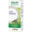 seve de bouleau boi ei 60ml
