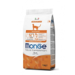 monge cat adult ster mono anat
