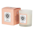 himalaya candela prof fragola