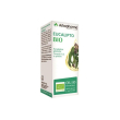 eucalipto bio 10 ml - olio essenziale balsamico