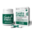 condrostress (+) cat 30cpr nuova formula minsan 980769970