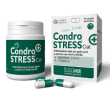 condrostress + cat 30 capsule monodose