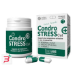 condrostress + cat 30 capsule monodose