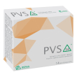 pvs34 buste