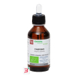 carpino macerato glicerico 100 ml bio