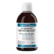 physiomance hepatoboost 500ml