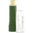sylveco birch rescue lip balm with betulin - 4,60 g