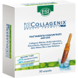 esi biocollagenix 30amp