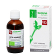 vite vergine gd  50ml bio