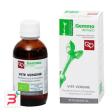 vite vergine macerato glicerico 50 ml bio