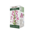 epilobio estr.int.secco svs