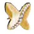 orecchini papillon golden crys