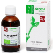 fico gemme mg bio 50ml ftm