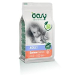 oasy cat ad salmone 300gr