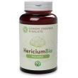 hericium polvere bio 100g
