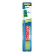 taumarin spazz scal33 m antiba