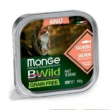 monge bwild cat ad salmone/ort