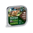 monge bwild cat lb bufalo/ort