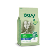 adult medium al pesce - alimento completo per cani adulti di taglia media 12 kg