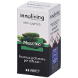 innoliving essenza profumata per diffusori muschio 1 pz