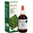 ribes nigrum gd 100ml acn