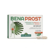 benaprost 30 capsule