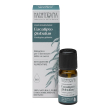 eucalipto oe 10ml bio nasoterapia