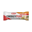 whysport energy fuel noci nocciole 30g