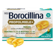 neoborocilina neoborocillina propolmiele+ miele e eucalipto - per il benessere della gola 16 pastigl