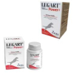 legart power
