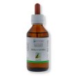 rosa canina gemmo derivato 33 arcangea bio 100 ml
