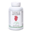 vene e arterie 140prl