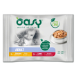 oy cat multi bocc meat 4pz 85g