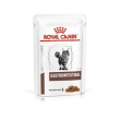 diet intestinal gastro cat 12x85gr bustine