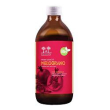 melograno bio succo salugea