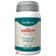 salice 60 capsule